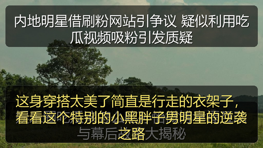 内地明星借刷粉网站引争议 疑似利用吃瓜视频吸粉引发质疑